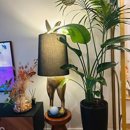 Homestay Les De David Paris